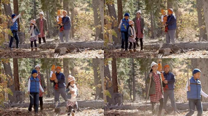 快乐的亚洲家庭享受一起在森林徒步旅行