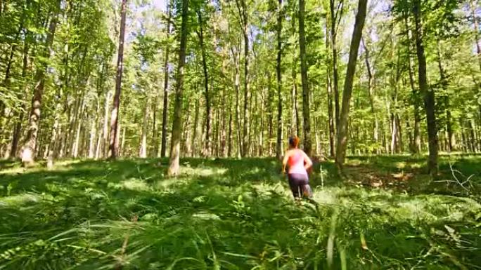 SLO MO女人在覆盖着蕨类植物的森林中奔跑