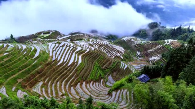 龙基泰天的延时