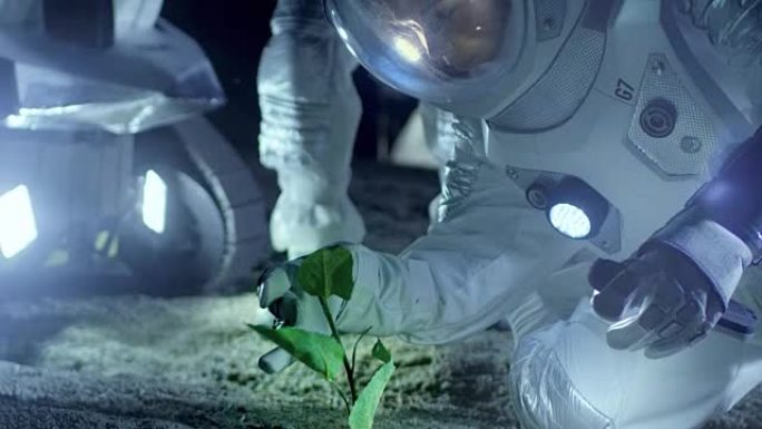 两名宇航员在外星发现植物生命。太空旅行，可居住世界的发现和殖民概念。