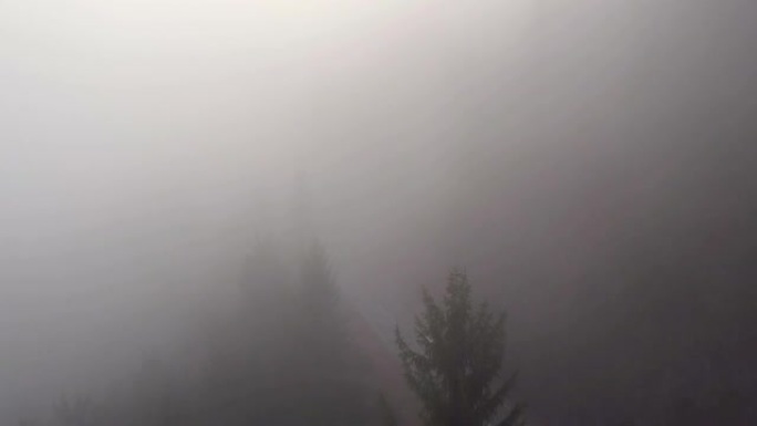 空中: 汽车在迷雾笼罩的冬季早晨在危险的路段上行驶