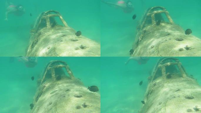 水下: 吸引女人的浮潜朝着飞机周围游动的黑鱼