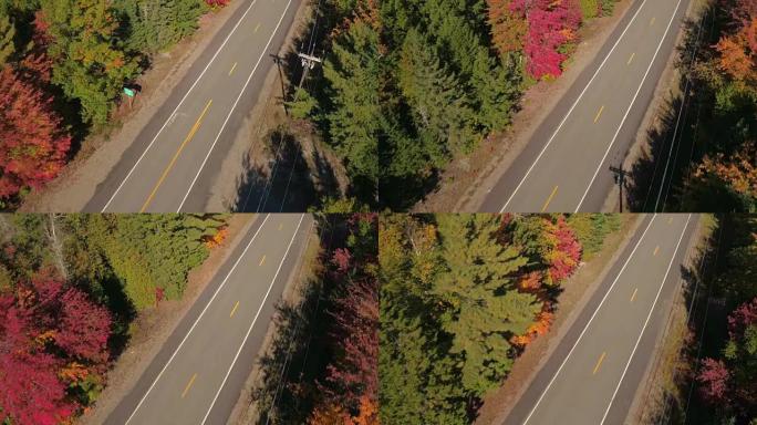 空中: 空荡荡的道路在阳光明媚的秋天引领着令人惊叹的色彩缤纷的秋天森林