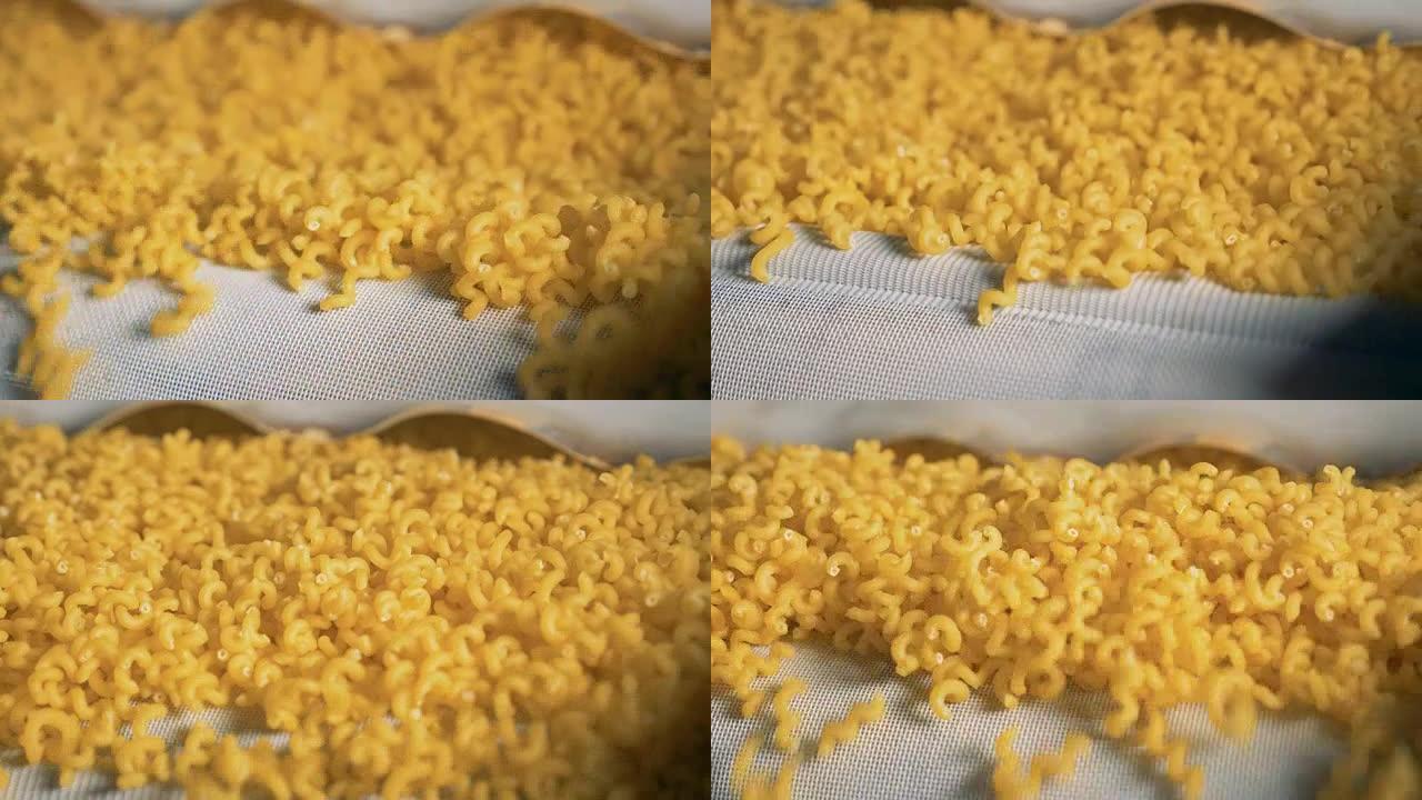 关闭小的黄色螺旋通心粉向下移动。意大利面、通心粉、面条、意大利面生产线。