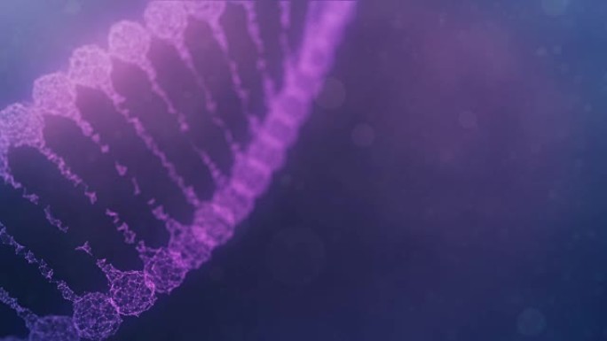 脉冲贯穿的旋转神经丛DNA链-紫色版本