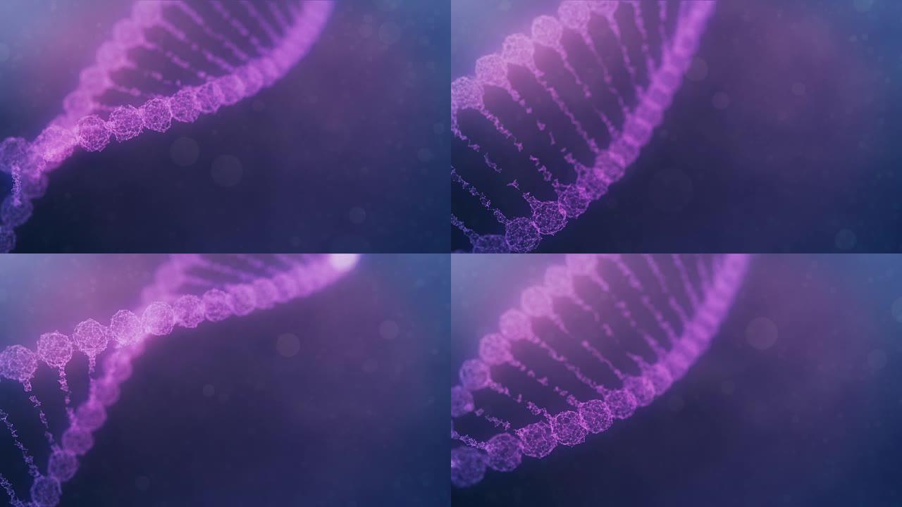 脉冲贯穿的旋转神经丛DNA链-紫色版本