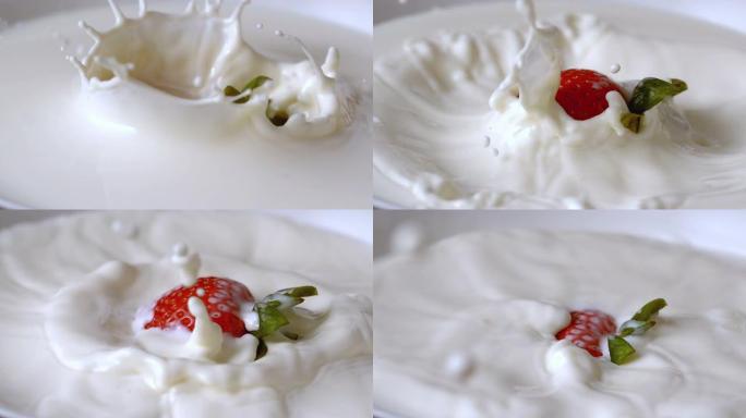 草莓掉进牛奶中