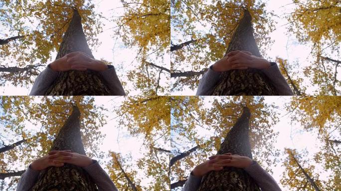 环保女孩拥抱树林中的秋树，实时