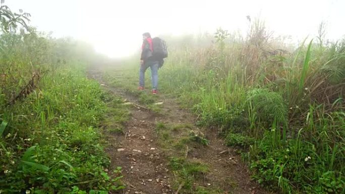 亚洲旅行者男性徒步旅行者在泰国深雨林徒步旅行的4k镜头。旅行和徒步旅行概念