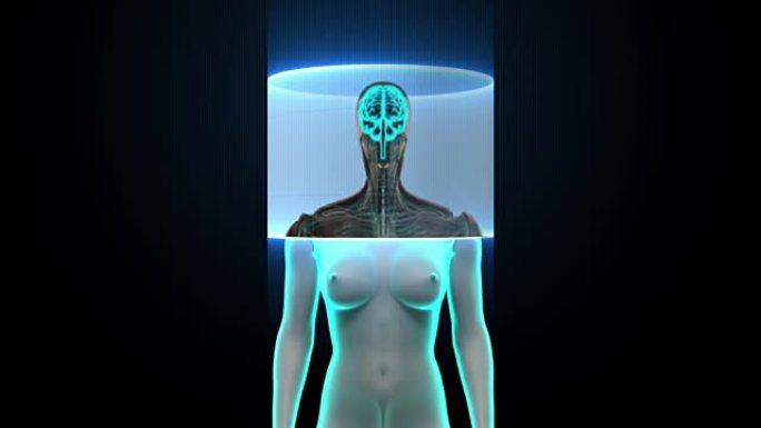 扫描女性身体的大脑。X射线。