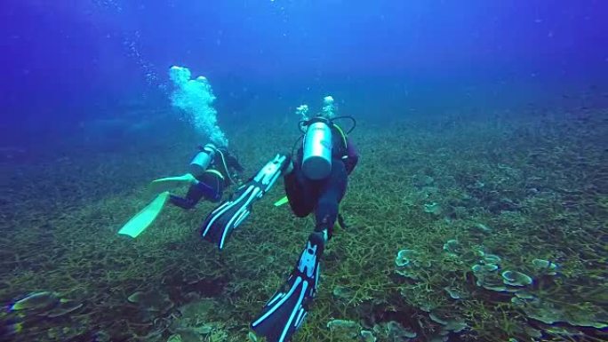 慢动作: 在蓝色清澈的水中游泳的水肺潜水员的水下拍摄。