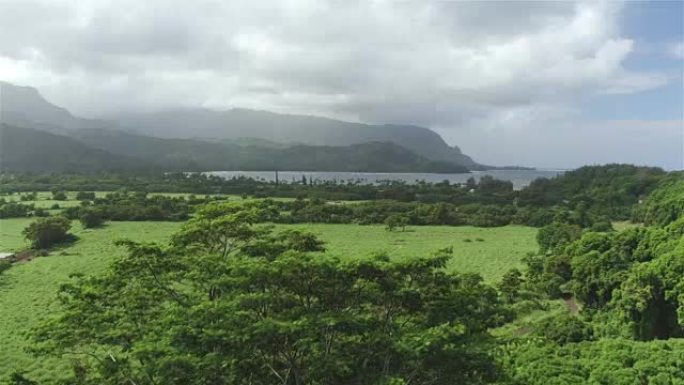 空中特写: 夏威夷高火山山下美丽的海洋湾