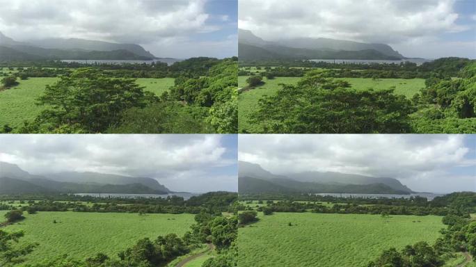 空中特写: 夏威夷高火山山下美丽的海洋湾