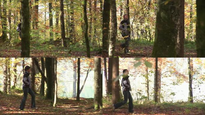 高清: 在森林里散步