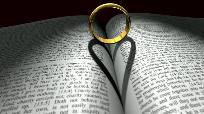 结婚戒指和圣经七夕节圣洁特效动画素材