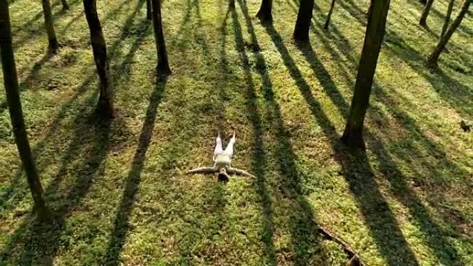 空中女人躺在森林的野花中