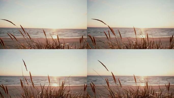 在海上美丽的柔和夜晚，在海滩上随风摇曳的干草角的特写镜头