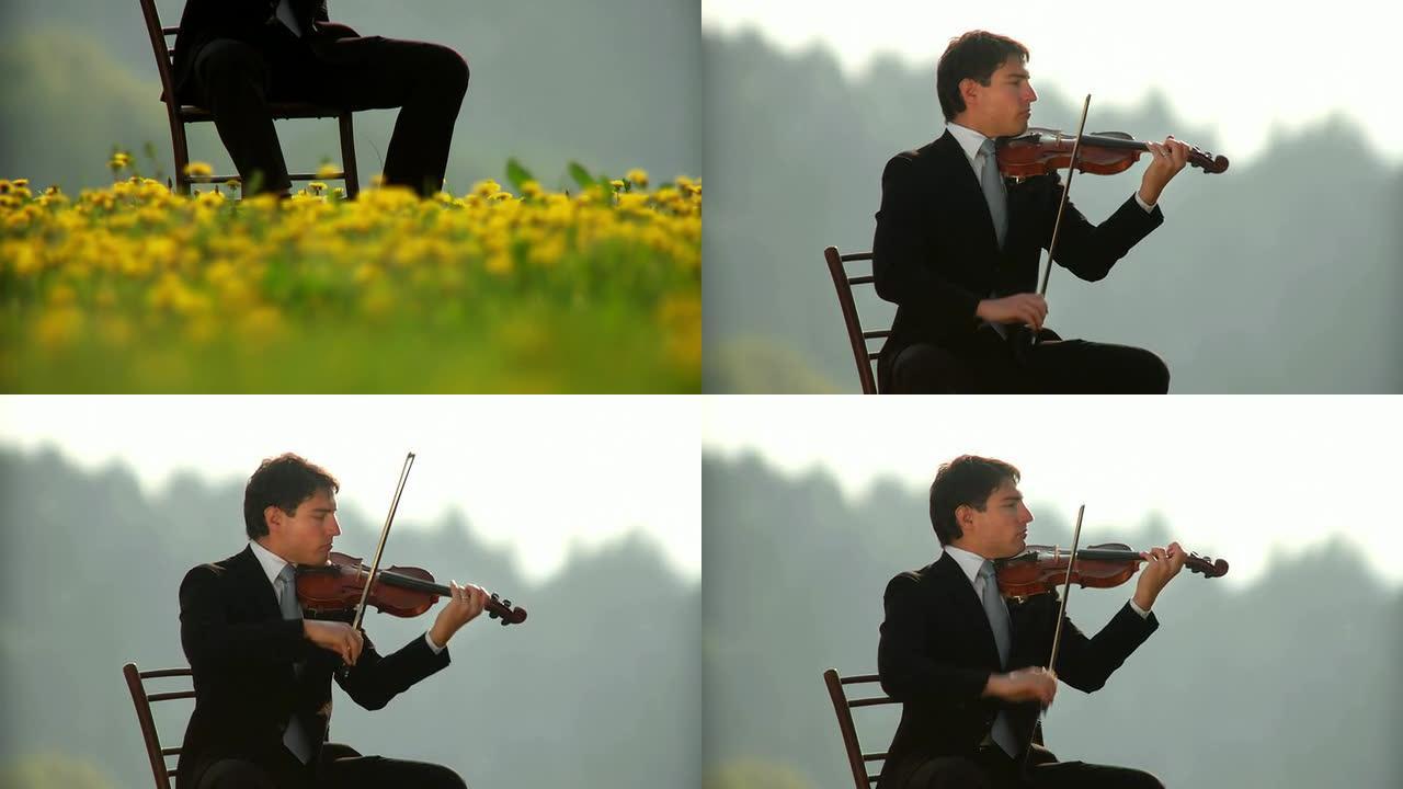 高清: 受自然启发的小提琴家