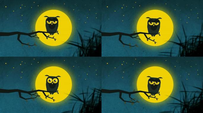 卡通猫头鹰在星夜卡通猫头鹰在星夜月亮MG