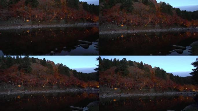 电影倾斜Korankei森林公园之夜，带灯光照明名古屋日本