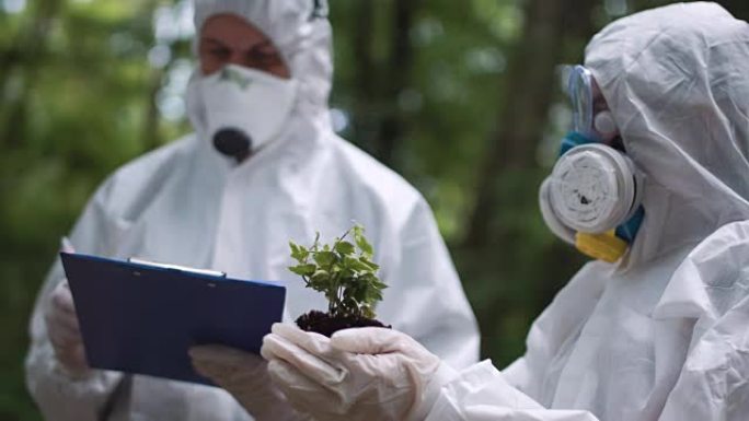 生态学家对植物进行分析