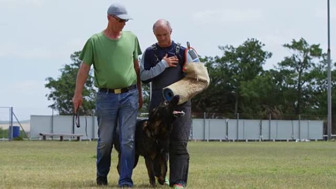 牧羊犬与主人和教练一起散步4k