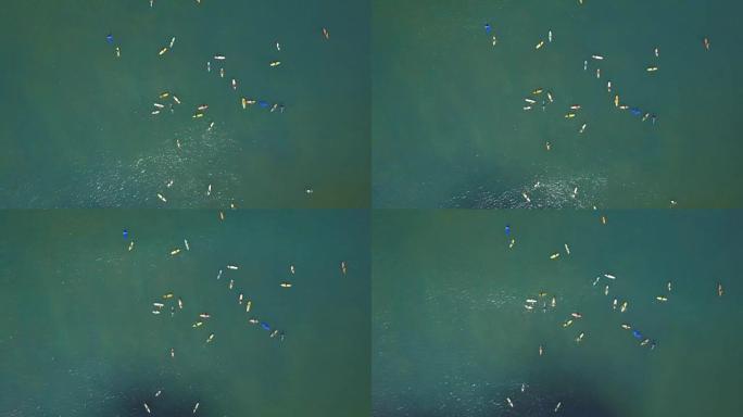 空中特写: 在阳光明媚的巴厘岛冲浪点拥挤的冲浪者排成一排