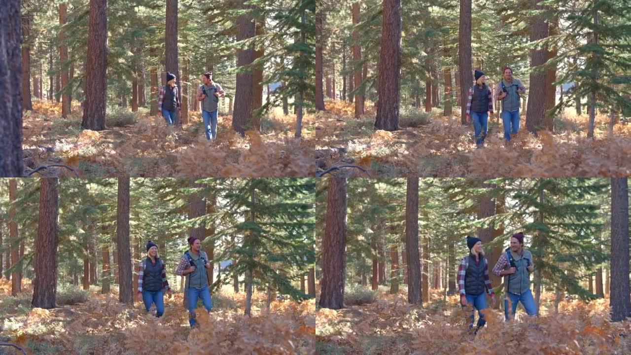 夫妇在森林小径上走过的平移镜头