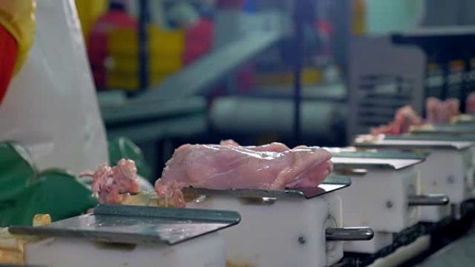 工人将生鸡胸肉放在钢制输送机托盘上。