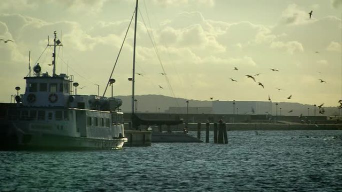 有很多海鸥的渔船-日落