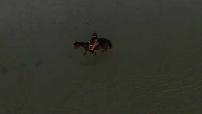 一个女孩在水上骑马的鸟瞰图。夕阳照亮了他们。