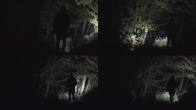 Lonely walk in the forest at night