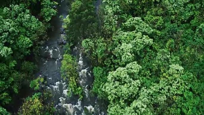 热带雨林中的河流