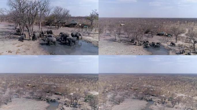 空中缩小在博茨瓦纳Khwai私人保护区鬣狗潘喝酒的一群大象的视野