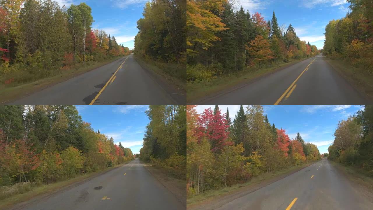 POV: 晴天在空旷的高速公路上行驶，穿过混合的秋叶森林