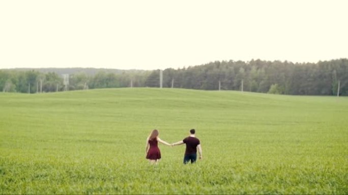 相爱的人们手牵着手，亲吻着漫步在燕麦地里。幸福的情侣。背景是森林。缓慢的莫