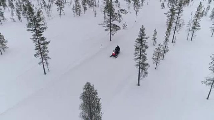 特写: 旅行者在白色芬兰的寒冷的山林中雪地摩托