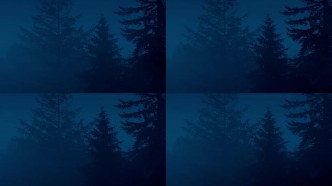 晚上有高大树木的迷雾森林