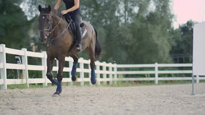 慢动作: 开朗的女骑手在户外马术中骑大马