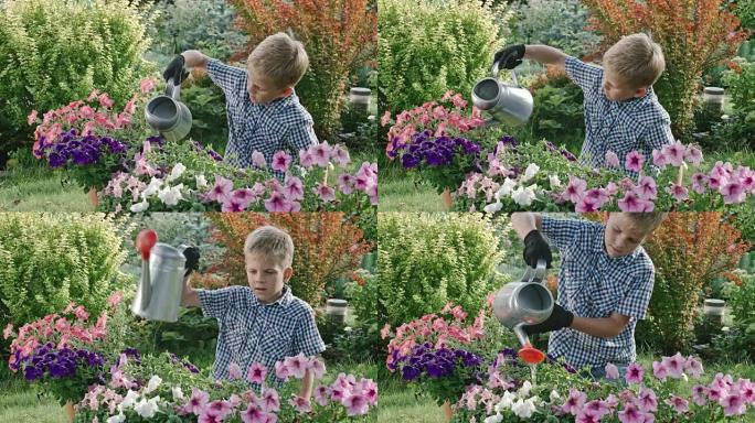 男孩在花园里浇花