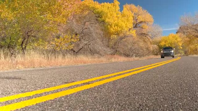 黑色越野车吉普车驶过黄色转弯的树叶树在灿烂的阳光灿烂的一天