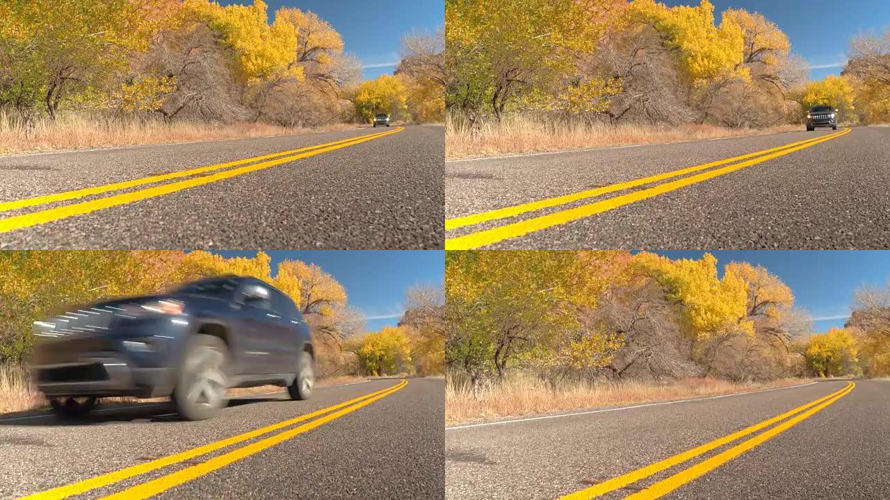 黑色越野车吉普车驶过黄色转弯的树叶树在灿烂的阳光灿烂的一天
