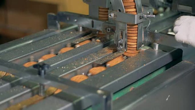 生产双饼干的过程特写视图。