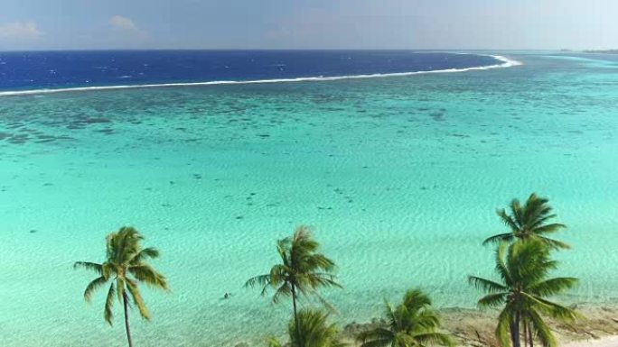 4k空中特写: 美丽的热带岛屿前晶莹剔透的蓝色泻湖，异国情调的白色沙滩和面向海洋的郁郁葱葱的高大棕榈