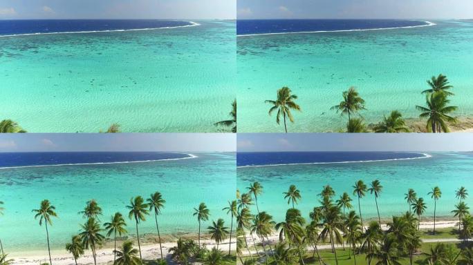 4k空中特写: 美丽的热带岛屿前晶莹剔透的蓝色泻湖，异国情调的白色沙滩和面向海洋的郁郁葱葱的高大棕榈