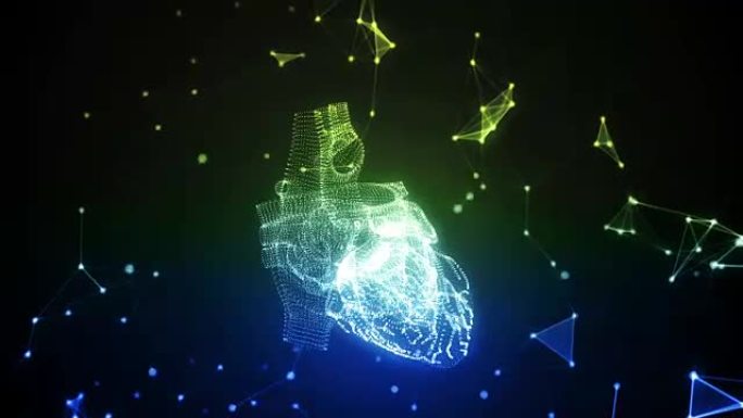 人类的心脏是由旋转粒子形成的。
