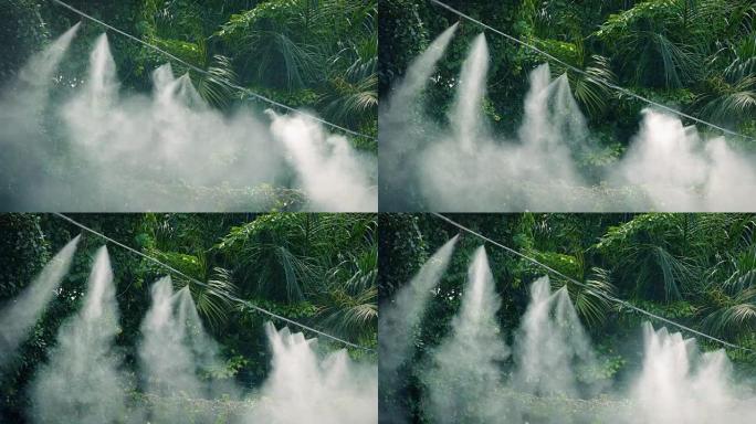 丛林中的蒸汽灌溉系统