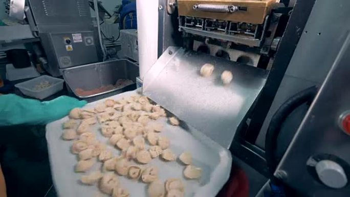肉饺子从工厂的机器上掉到一个托盘上，工人在那里摇晃它们