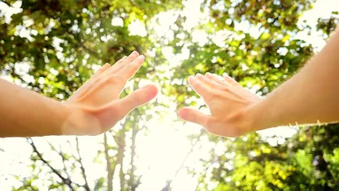 双手放在阳光普照的树前。