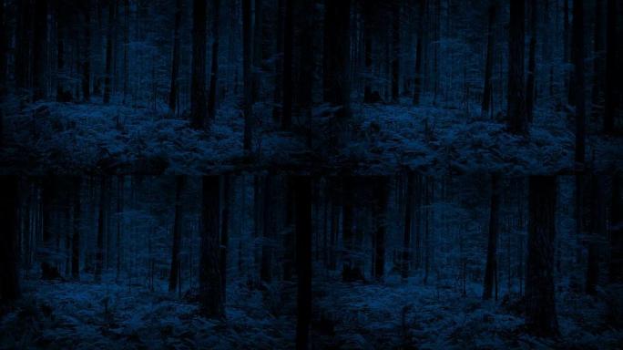 在黑暗中穿越茂密的林地